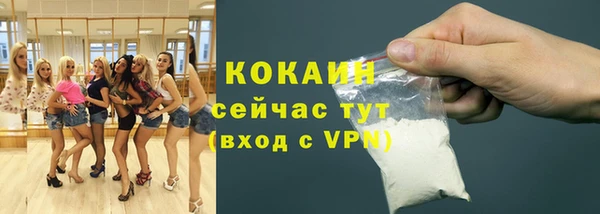 apvp Тайга