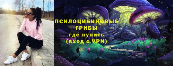 круглые Белокуриха