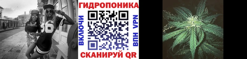 Шишки марихуана конопля  Кремёнки 